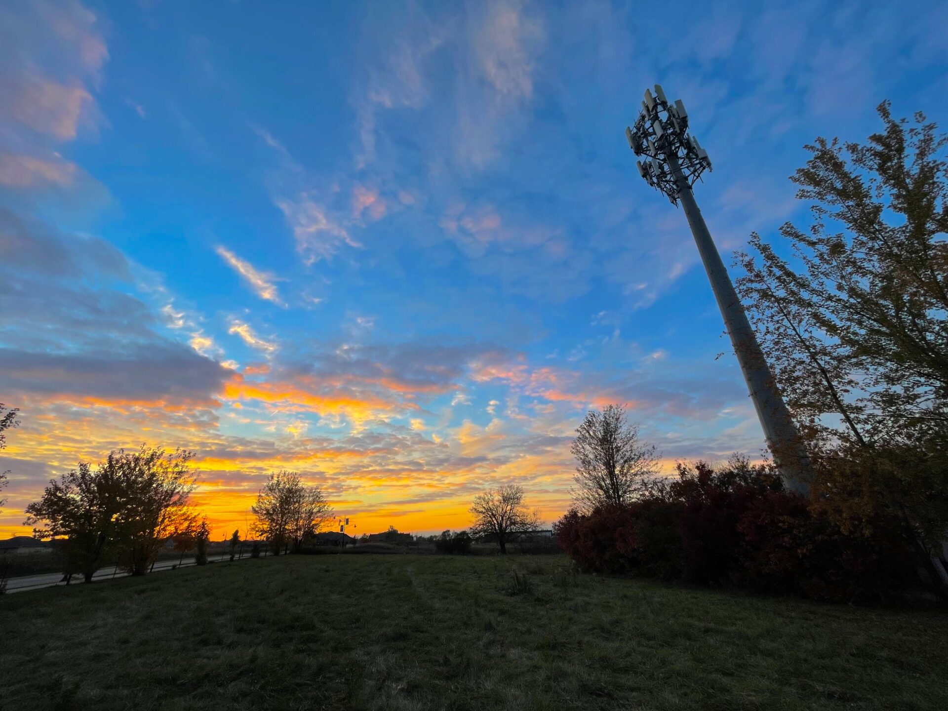 Cellular tower in open area